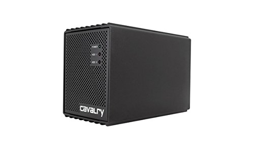 Bason Computer, Inc. CADA 2BAY 4TB Esata USB Raid Disk Array Includes Esata Kit