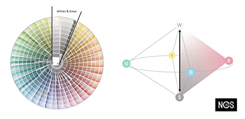 NCS-Index 2050 | Multifunktional und langlebig | Ein unverzichtbarer Farbführer | Gewicht - 0,85 kg, Größe - 32,5 x 6,5 x 5,5 cm