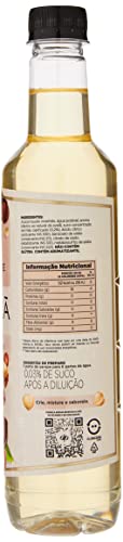 Dilute Xarope Avelã 500Ml