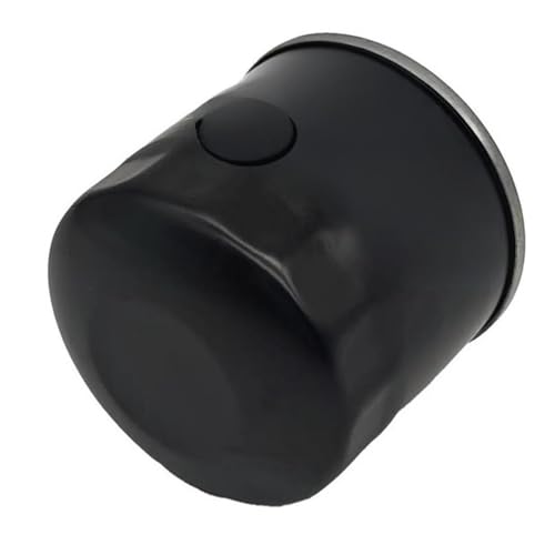 Filtre à huile 16510-07J00 haute performance pour Quad LTA 750
