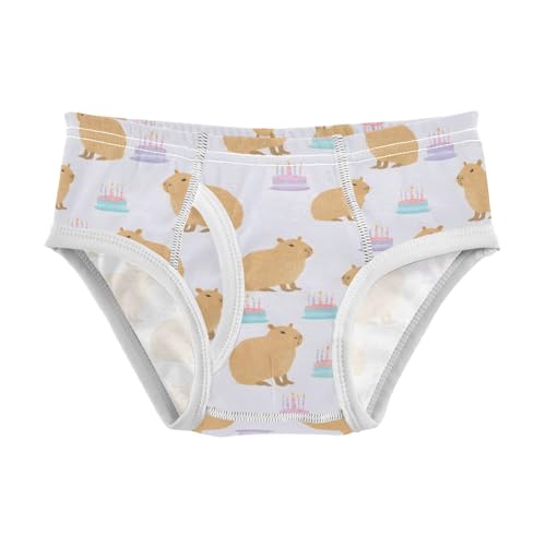 Capybara Birthday Cake Pattern Boys' Underwear 100% Cotton Boys' Briefs Soft Toddler Underwear