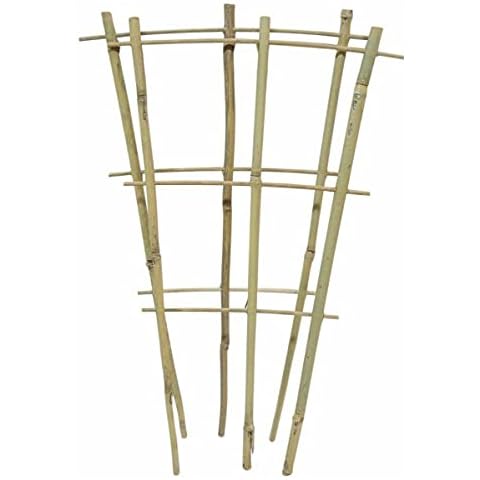 Natural Bamboo Cane Plant Support Trellis Cover