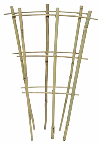 Natural Eco-Friendly Bamboo Cane Plant Pot Fan Trellis Outdoor Garden Planter Climbing Plant Support Frame Stake Stick Pole (1, 85cm)