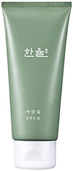 [Hanyul] Pure Artemisia Cleansing Foam 180ml