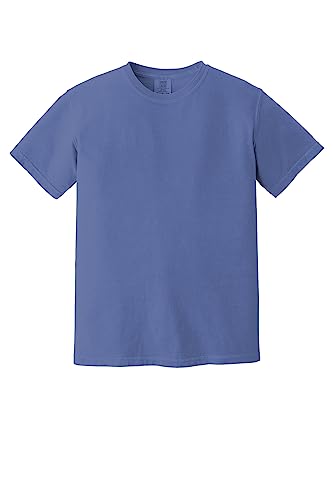Image of Comfort Colors Adult Short Sleeve Tee, Style G1717
