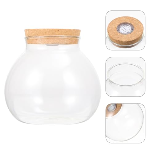 UKCOCO Glasflasche Landschaftsflasche Schreibtischaufsatz Behälter Mit Deckel Hochzeitsdeko Borosilikatglas Ökologische Terrarienflasche DIY Mikrolandschaftsflasche Landschaftshandwerk