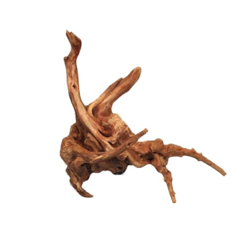 BESPORTBLE Naturholzstamm Baumwurzel Für Aquarium Echtholz Wurzelholz...