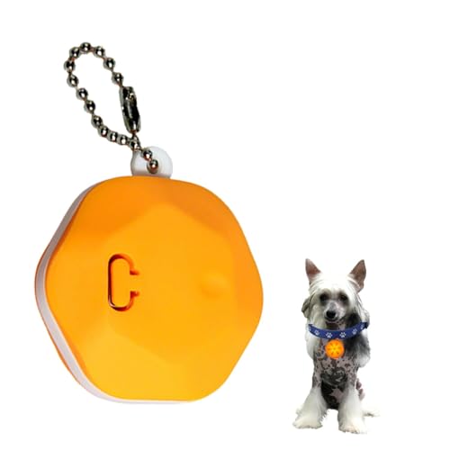 Lifetips`Cj[YENXebhEhbODoberman Pinscher Lp LEDUCg `[ h y USB[d 3_[h  ցEn[lXE[h ԈSLEDUCg y_g USB[d