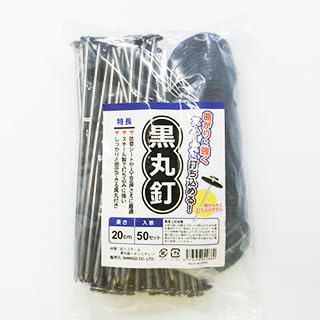 ۓB 20 50{Zbg iV[g lH j