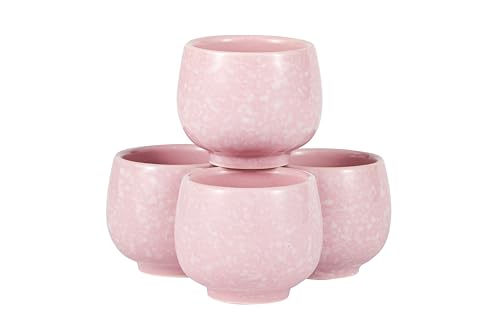 Hinomaru Collection Plum Blossom Ume Design Japanese Sake Set Tokkuri 9 fl oz Bottle with Four Sake Ochoko Cups 1.5 fl oz Hot Cold Sake Serving Carafe Drinkware (Pink)