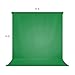 LimoStudio 10 x 10 feet Professional Heavy Duty Green Screen Chromakey Photography Background for Photo Video Shoots Streaming (Backdrop Only), AGG2283