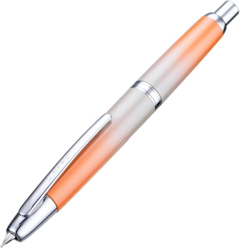 Stylo-plume rétractable EPANO écriture fine convertisseur encre