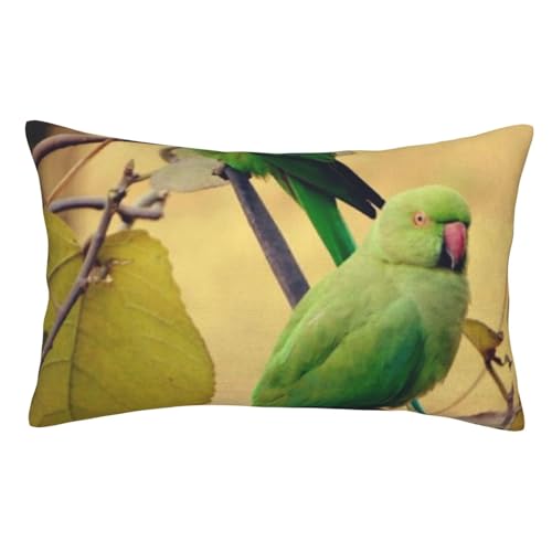  ܂Jo[ 􂦂 t@Xi[ lC CeA xbh Jo[ s[P[X EbhXgbN CR2H킢 킢 Aj LN^[ 16"X24"