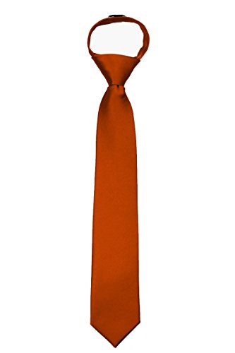 BUYYOURTIES Boys 14 inch Solid Color Zipper Necktie Ties
