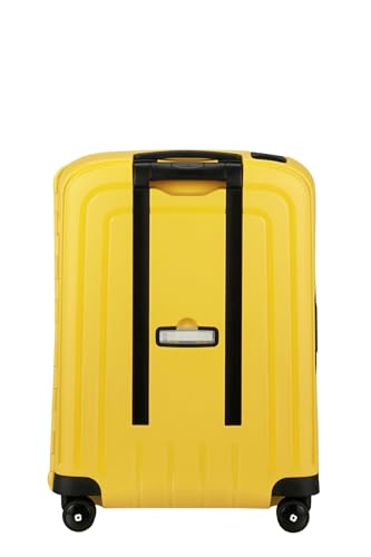 Samsonite Pro DLX luggage