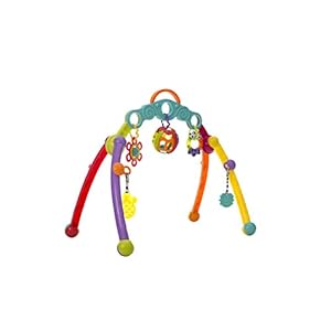 Playgro Opvouwbare speelbogen, babygym met afneembaar speelgoed, vanaf 0 maanden, Junyju Fold and Go Activitiy Playgym…