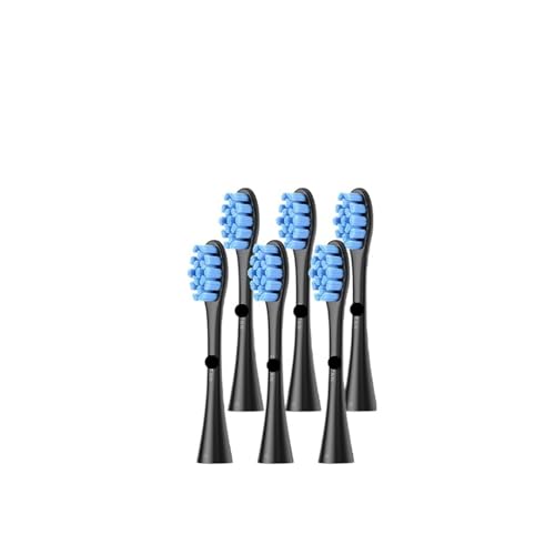 ���u���V �m�Y���AOclean �ƌ݊�������AFlow X PRO Elite F1 Z1 �����p(6 pcs blue (P2S5))