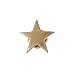 Gold Star Lapel Pin- 1 Piece