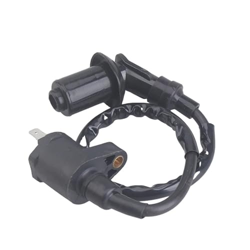 oCNdq_΃RC I[goCi COjbVRCVXejbg GY6p 50CC 60CC 80CC 100CC 125CC 150CC ATVNbhsbgoCNp KymcoXN[^[p