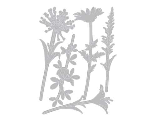 Sizzix Thinlits Die Set 664164, Wildflower Stems #2 by Tim Holtz, 5 Pack, One Size, Paper, Multi-Colour Colour