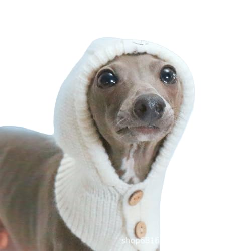 IUOUTG C^ÃOCnEh~̒gXqA̕҂ݖXq킢ybgNX}XlbNC[EH[}[vI[o[t[h