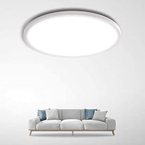 Plafonnier LED 19W, Peasur 1800LM 5000K Plafonnier LED IP44 Étanche Plafonnier Rond Plat pour Salle de Bain, Chambre, Salon, Cuisine, Salle de Bain, Balcon, Sous-sol Ø220*H24mm