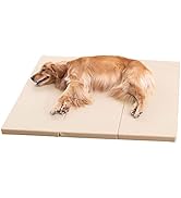 Amazon.co.jp: PET SELECT (ペットセレクト) 木ののぼれんニャン
