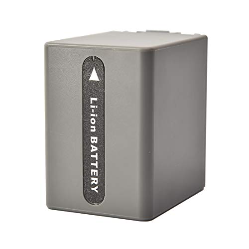 Batería NP-FP90 DSTE de repuesto en pack de 2 para videocámaras Sony DCR-DVD 3