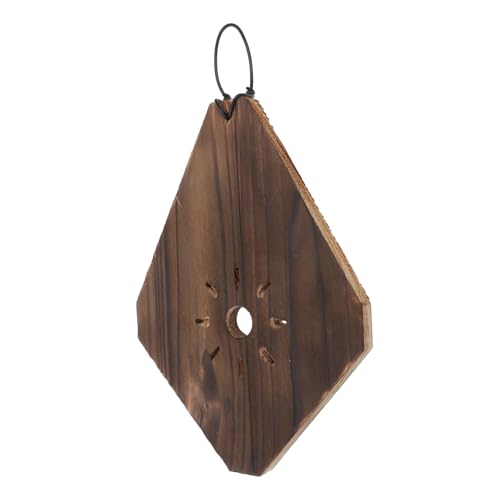 BESPORTBLE Hanging Planter pour Support Vertical pour Plantes Intérieures Décoration pour Platycerium Et Installation Facile Carbonisé