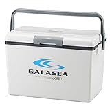 ギャラシー #25 SGS-25WH