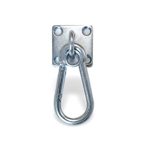 Connecting Ring Horse with Carabiner Connector for Screwing Eye Plate Solid Stainless Steel with 4 x Screws + 4 x Dowels (1 x Connecting Ring with Carabiner)