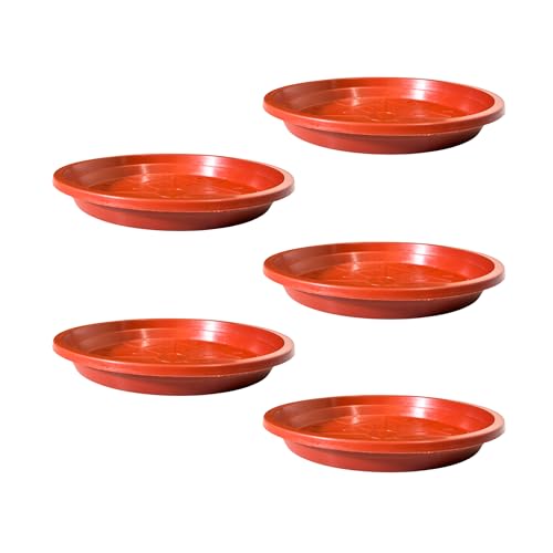 Image of Plant Saucer Base Plate for Pots | Premium Planter Tray |100% Virgin Plastic, UV Treated, Durable & Lightweight | Ideal for Indoor & Outdoor (5, 8 inch Tray)