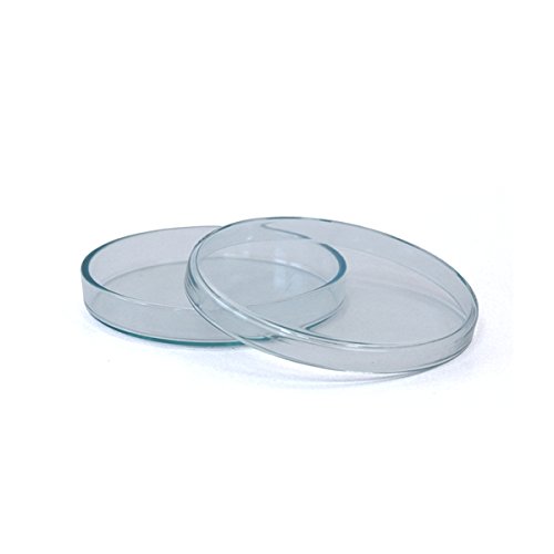 100 x Petrischale 100x10mm aus Kalk-Soda-Glas ohne Nocken - bis 135°C im Autoklaven sterilisierbar - Petrischalen, Kulturschale, Agar Agar Schale, Zellkulturschale, Kulturschalen, Agar Agar Schalen, Zellkulturschalen
