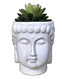 4.6Inch Ceramic Buddha Head Planter Pot Zen Succulent Plant Pot Pen Holder Pencil Cup Brush Holder Pot Remote Controller Holder Desk Organizer Home Office Room Decor Multi-use(White)