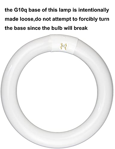 Chkadawa Circular Bulb Fc8T9/Dl, 8 Inch T9 22W Circline Fluorescent Light Bulbs, Replacement Round Fluorescent Lamp Tube, Bright Daylight 6400K 1250 Lumens, G10Q 4 Pin Base, 2 Pack #TOP4