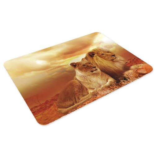 Sets de table soleil levant couple de lions avec dessous en liège souple