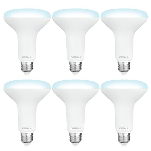 Image of DEGNJU 6 Pack BR30 LED Recessed Light Bulb, Dimmable Indoor Flood Light Bulbs CRI80 7W Equivalent 65W 5000K Daylight 650 Lumens, 15000 Lifetime Hours E26 Base LED Can Light Bulb, Flicker-Free