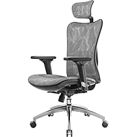 SIHOO M57 Ergonomic Office Chair Mesh Desk Chair with Adjustable Lumbar Support 3D Armrests Breathable High Back Computer Chair (Grey)