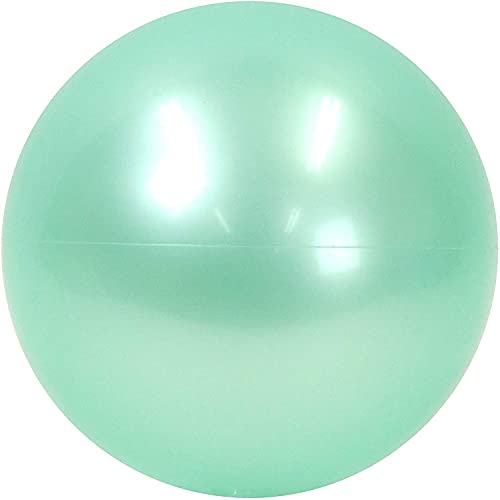 pXeO[J[{[1 a20cm rcHƎ ߋSii ۈwZpiǂǕi