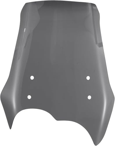 Pare-brise pour moto BMW G650 GS contre le vent et la fatigue sur autoroute