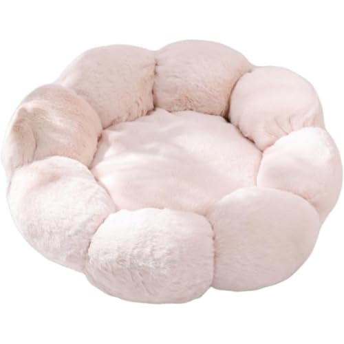 ALA^pybgnEXAی^A~pAybgxbhAgA􂦂Aʂ݁Aԕ (50cm,x[W)