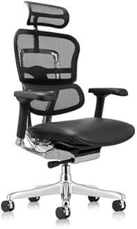 Ergohuman Eurotech LEM4ERG Executive High Back Mesh Office Chair with Leather Seat - Tilt Tension Control, Tilt Lock, Back Angle & Height, Synchro Tilt, Seat Height & Depth, and Arm Height Adjustments