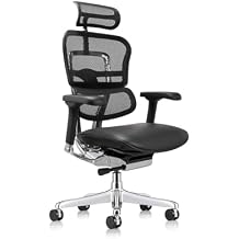 Ergohuman Eurotech LEM4ERG Executive High Back Mesh Office Chair with Leather Seat - Tilt Tension Control, Tilt Lock, Back Angle & Height, Synchro Tilt, Seat Height & Depth, and Arm Height Adjustments