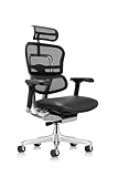 Ergohuman Eurotech LEM4ERG Executive High Back Mesh Office Chair with Leather Seat - Tilt Tension Control, Tilt Lock, Back Angle & Height, Synchro Tilt, Seat Height & Depth, and Arm Height Adjustments