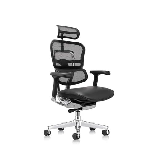 Eurotech Seating Ergohuman High Leather Seat/Mesh Back Swivel Chair, Black