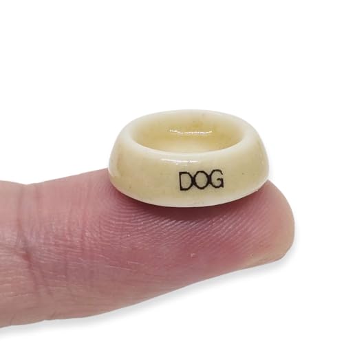 WitnyStore Dia ? ^Cj[ hbO zCg gC Hip ~j`A Z~bN {E ybg a {E tBMA   Sy u   RNeBu