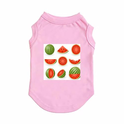 [XANPYO] ybg  t ̕ L  ybg TVc ѕ ^  킢 UoEFA sN tĕ Č tVc L Eѕی  ƒ o