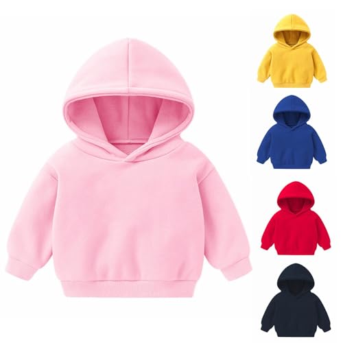 Kids Girls Cute Hoodie Crewneck Cotton Pullover Warm Winter Sweatshirt Long Sleeve Casual Tops Hooded Outwear Clothes