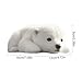 Imagen de Peluche Oso Polar