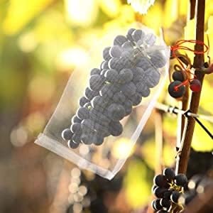 Fruit Protect Bags, Drawstring Net Barrier Bag, Nylon Mesh Garden Plant Fruit Flower Netting Protection Bag (Pack of 70, White)